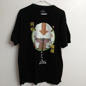 Avatar The Last Airbender Appa Black Aang Flying Bison Graphic T-Shirt, Men's XL